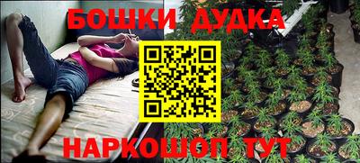 наркотики Кингисепп