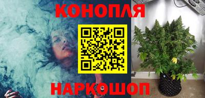 наркотики Кингисепп