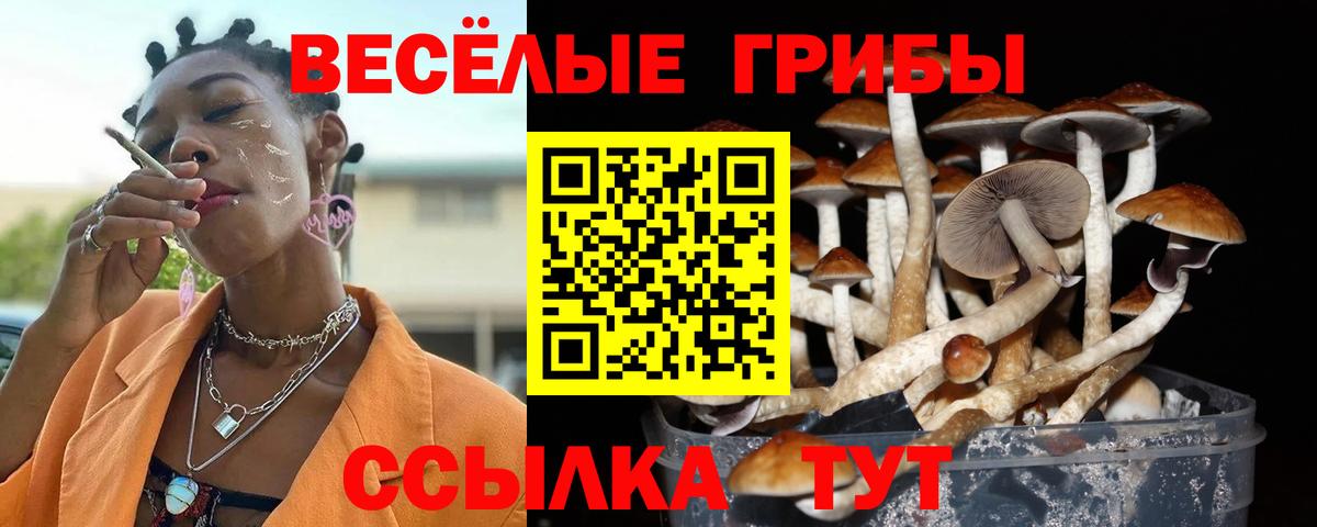 Галлюциногенные грибы Magic Shrooms  Вход с VPN  Кстово 